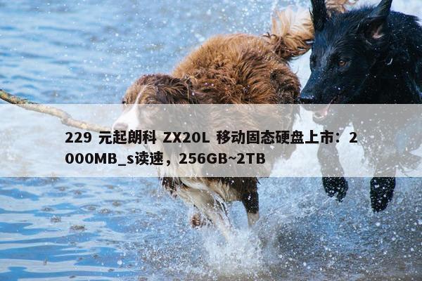 229 元起朗科 ZX20L 移动固态硬盘上市：2000MB_s读速，256GB~2TB