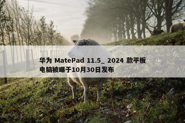 华为 MatePad 11.5_ 2024 款平板电脑被曝于10月30日发布