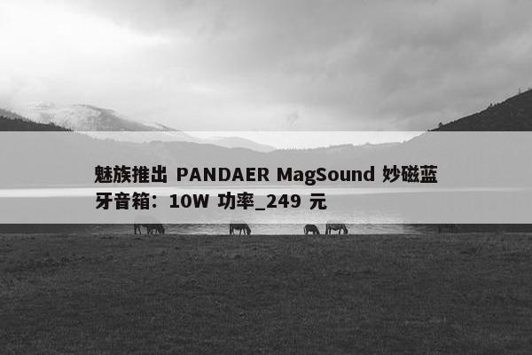 魅族推出 PANDAER MagSound 妙磁蓝牙音箱：10W 功率_249 元