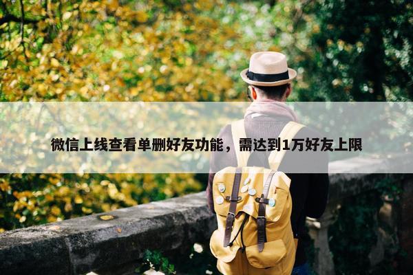 微信上线查看单删好友功能，需达到1万好友上限