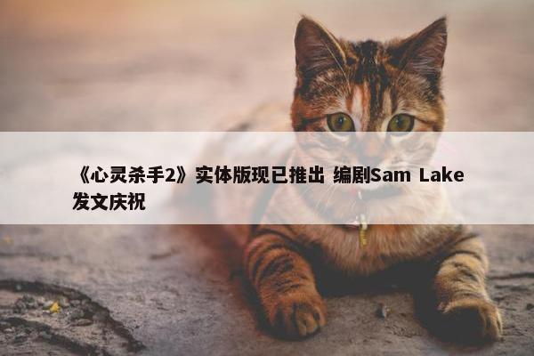 《心灵杀手2》实体版现已推出 编剧Sam Lake发文庆祝