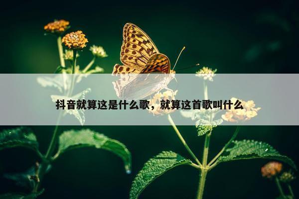 抖音就算这是什么歌，就算这首歌叫什么