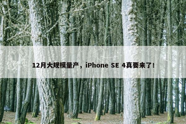 12月大规模量产，iPhone SE 4真要来了！