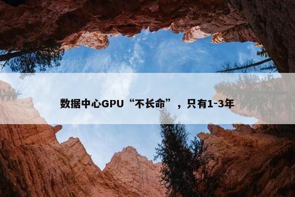 数据中心GPU“不长命”，只有1-3年