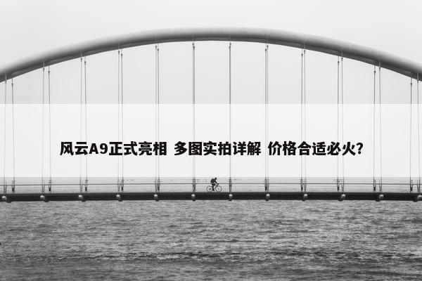 风云A9正式亮相 多图实拍详解 价格合适必火？