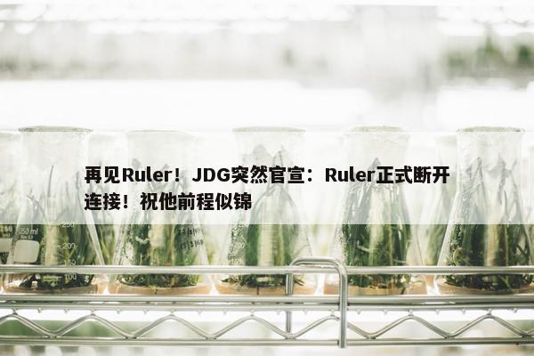 再见Ruler！JDG突然官宣：Ruler正式断开连接！祝他前程似锦