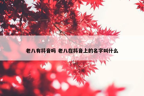 老八有抖音吗 老八在抖音上的名字叫什么