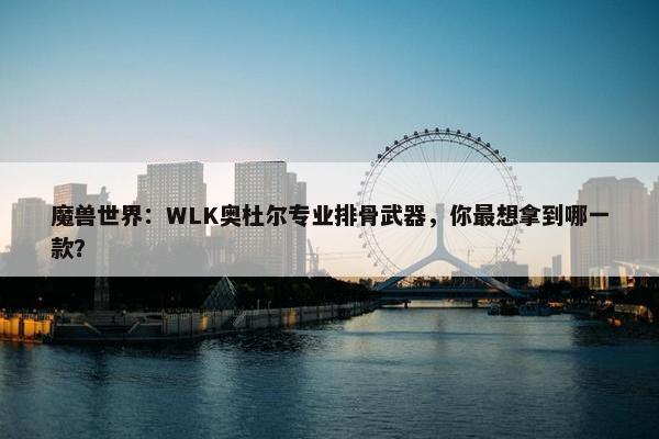 魔兽世界：WLK奥杜尔专业排骨武器，你最想拿到哪一款？