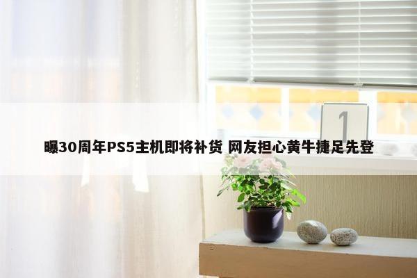 曝30周年PS5主机即将补货 网友担心黄牛捷足先登