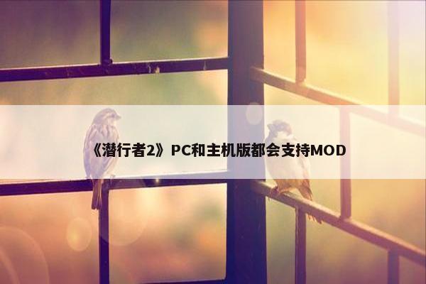 《潜行者2》PC和主机版都会支持MOD