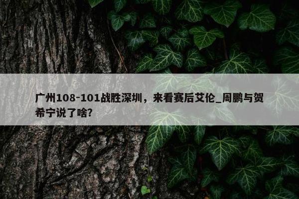 广州108-101战胜深圳，来看赛后艾伦_周鹏与贺希宁说了啥？