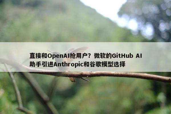 直接和OpenAI抢用户？微软的GitHub AI助手引进Anthropic和谷歌模型选择