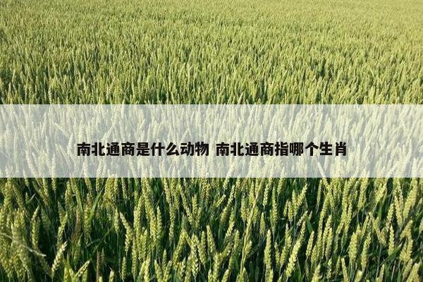 南北通商是什么动物 南北通商指哪个生肖