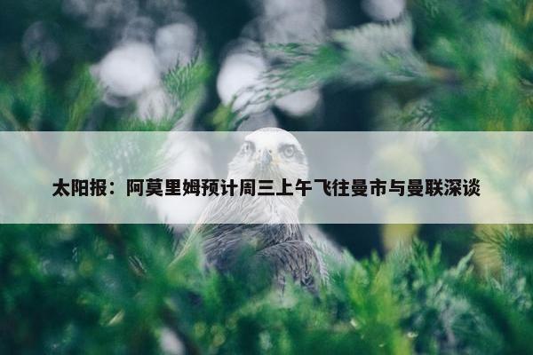 太阳报：阿莫里姆预计周三上午飞往曼市与曼联深谈