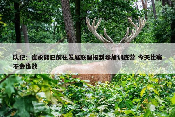 队记：崔永熙已前往发展联盟报到参加训练营 今天比赛不会出战