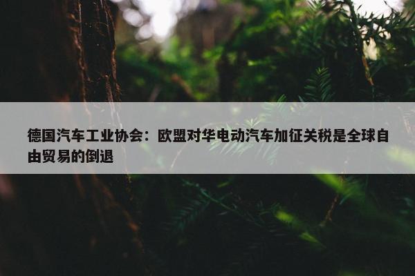 德国汽车工业协会：欧盟对华电动汽车加征关税是全球自由贸易的倒退