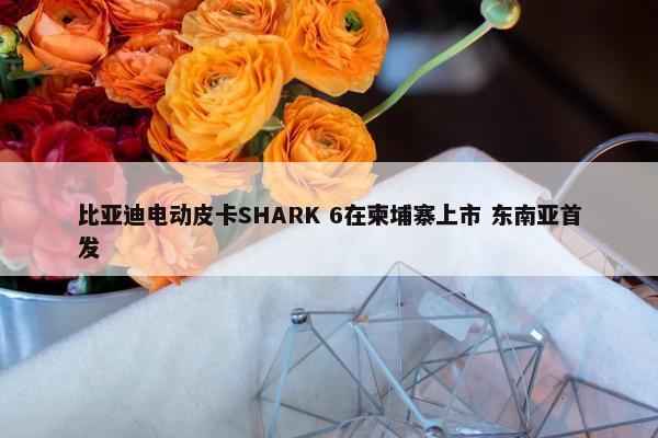 比亚迪电动皮卡SHARK 6在柬埔寨上市 东南亚首发