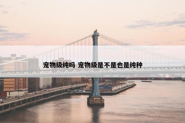 宠物级纯吗 宠物级是不是也是纯种