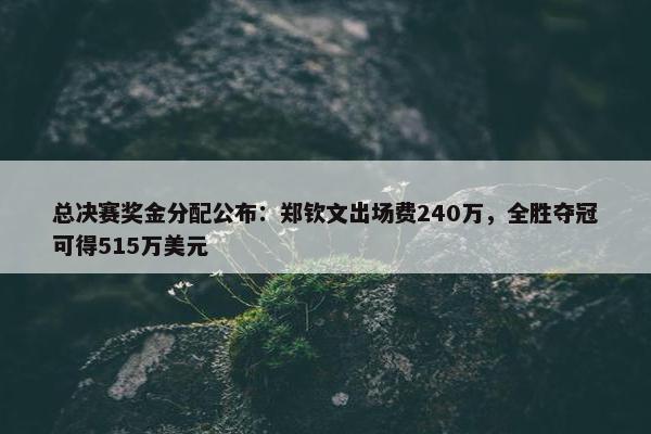 总决赛奖金分配公布：郑钦文出场费240万，全胜夺冠可得515万美元