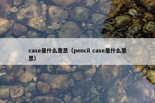 case是什么意思（pencil case是什么意思）