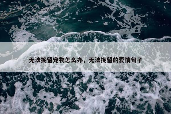 无法挽留宠物怎么办，无法挽留的爱情句子