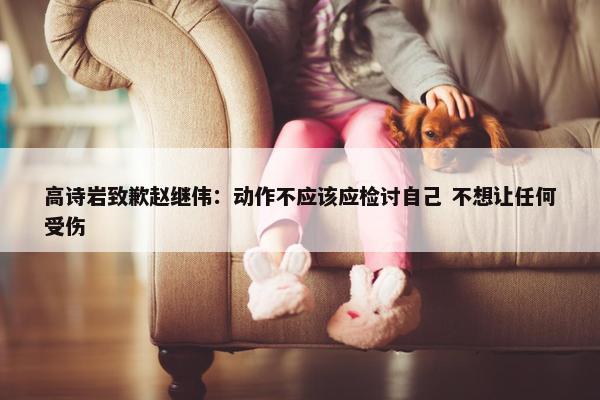 高诗岩致歉赵继伟：动作不应该应检讨自己 不想让任何受伤