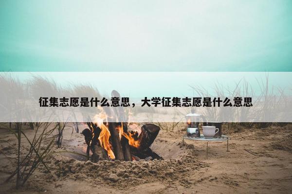 征集志愿是什么意思，大学征集志愿是什么意思